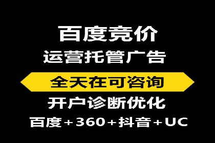 竞价推广策略：某电商平台的成功之路